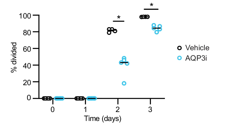 Open access visualization of Scatter Plot, CD4+ T Cells, CTV Labeling, T Cell Activation, AQP3 Inhibitor