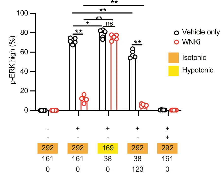 Open access visualization of Scatter Plot, Error Bars, CD4+ T Cells, TCR Signaling, Flow Cytometry