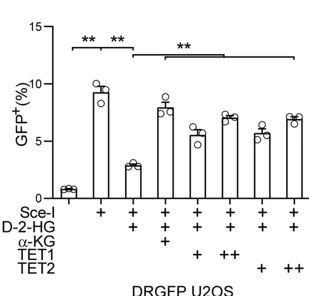 Open access visualization of Bar Plot, Error Bars, Quantification, Flow Cytometry, DD-Sce-I-GR DRGFP U2OS