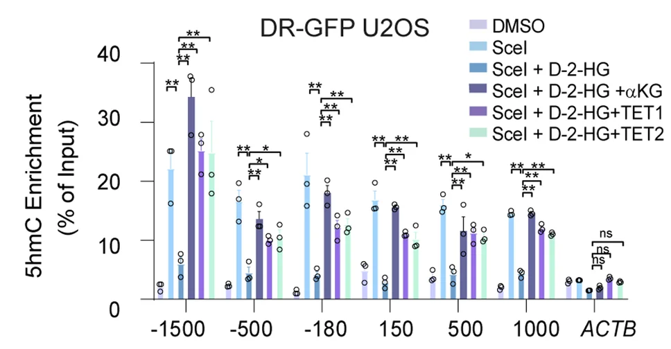 Open access visualization of Bar Plot, Error Bars, Scatter Plot, MeDIP Assay, DRGFP U2OS Cells
