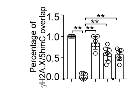 Open access visualization of Bar Plot, Scatter Plot, Error Bars, Quantification, Laser Micro-irradiation
