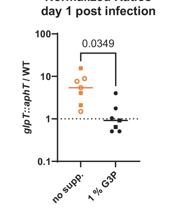 Open access visualization of Scatter Plot, glpT Mutant, G3P, Mice, Drinking Water