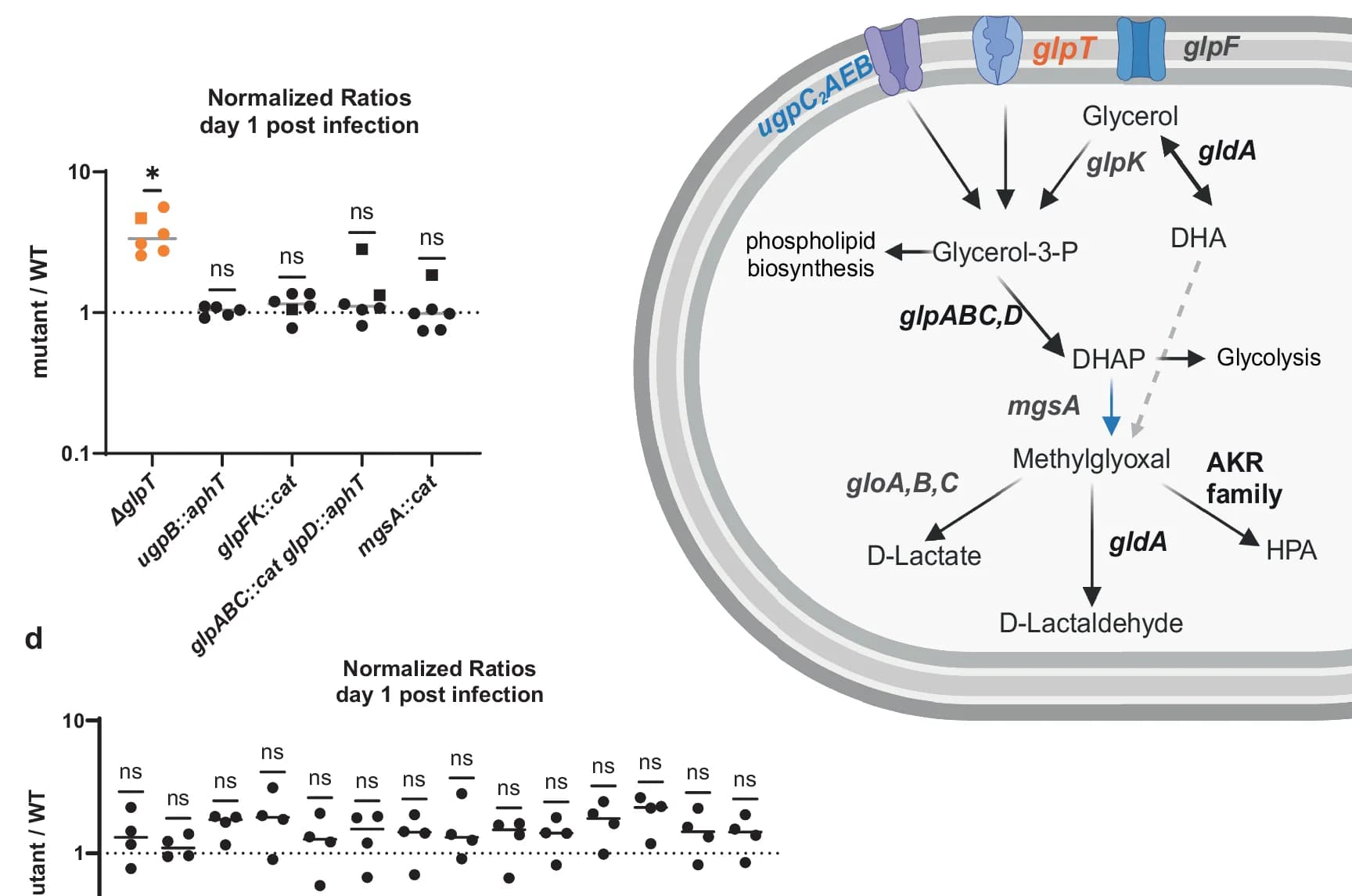 Open access visualization of Scatter Plot, Pathway, Glycerol Metabolism, glpT Mutation, Wilcoxon Signed Rank Test