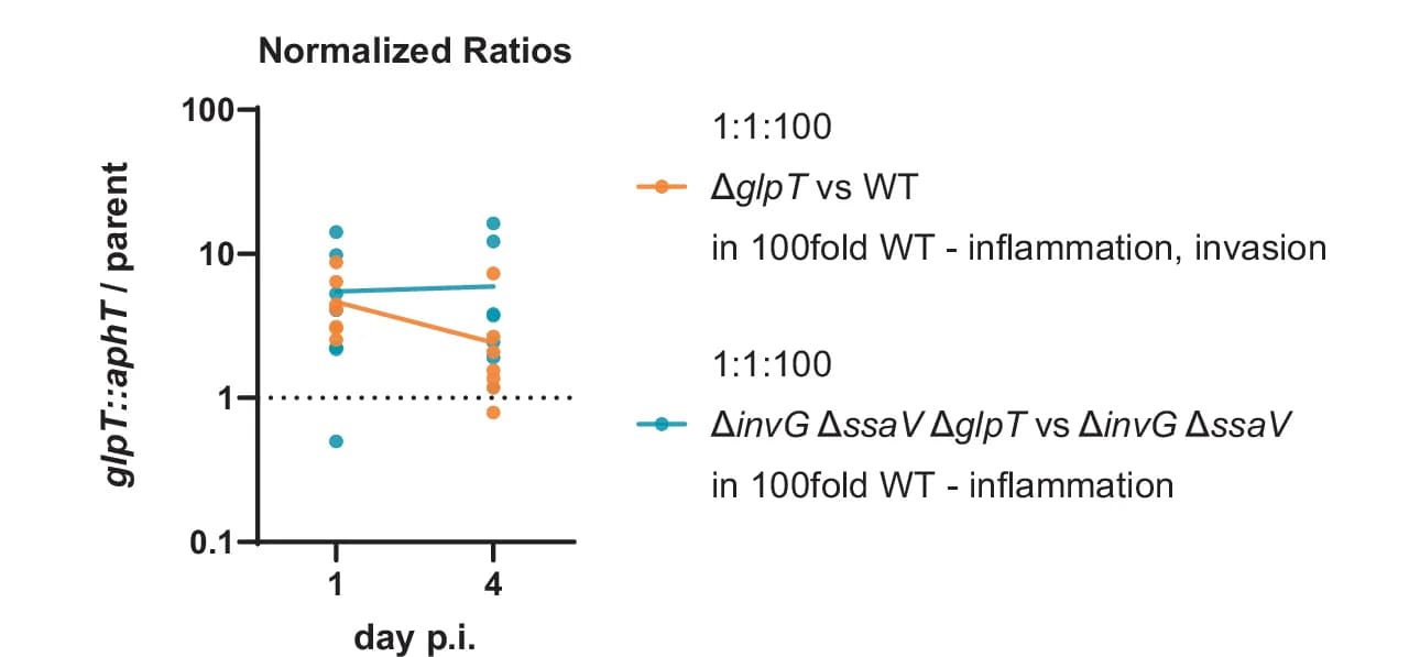 Open access visualization of Scatter Plot, Line Plot, Triple Infection Experiment, Wild-type Strain, Inflammation