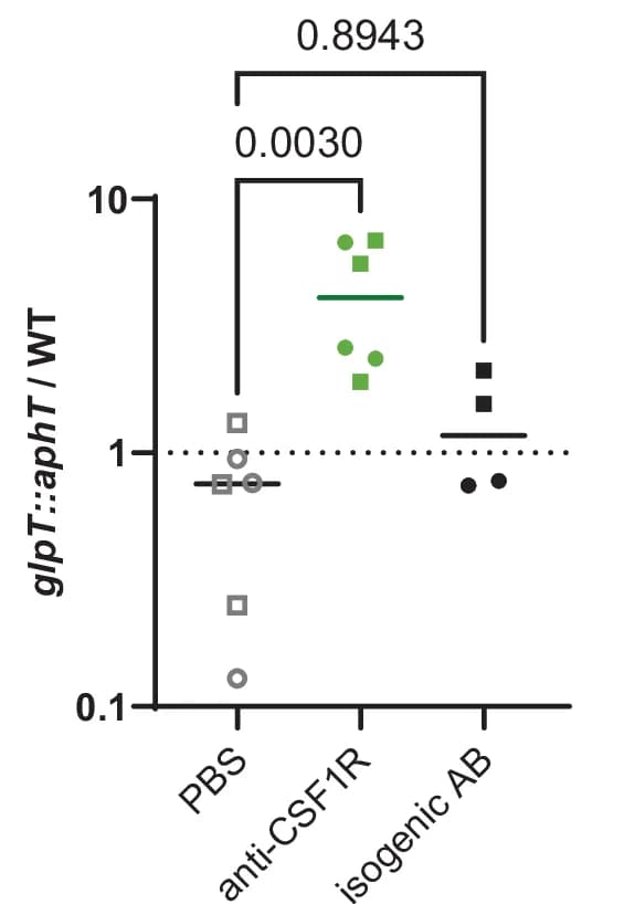 Open access visualization of Scatter Plot, glpT Mutant, Wild-Type, Mice, PBS