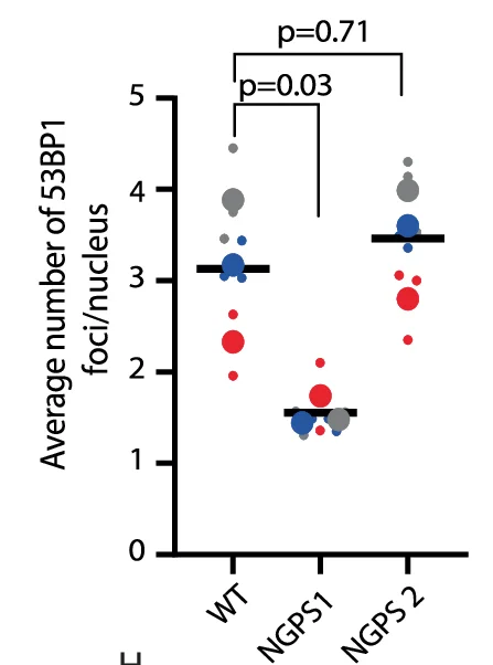 Open access visualization of Scatter Plot, Bubble Plot, Superplot, Data Analysis, ANOVA