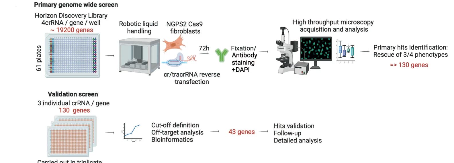 Open access visualization of Workflow, Box Plot, Line Plot, Microscopy, NGPS2-Cas9 Fibroblasts