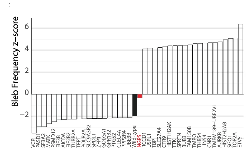 Open access visualization of Bar Plot, S Plots, Z Scores, Phenotype, NGPS Genome-Wide CRISPR Screen