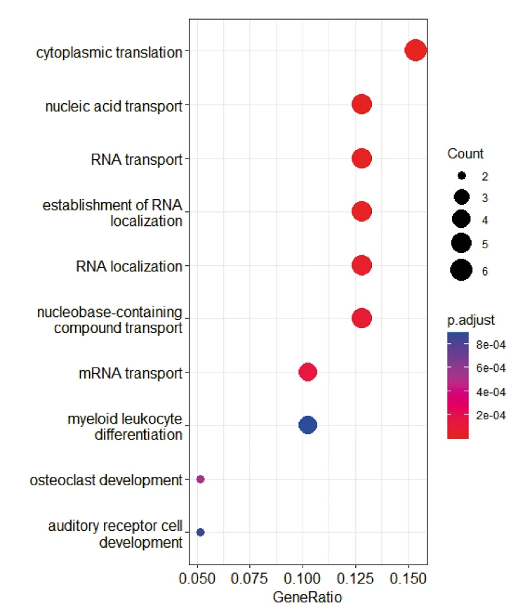 Open access visualization of Scatter Plot, Bubble Plot, Gene Set Enrichment, Biological Processes, clusterProfiler
