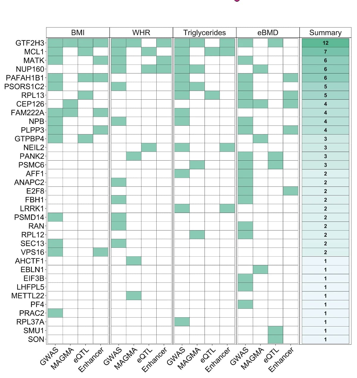Open access visualization of Heatmap, Target Genes, Human Genetic Datasets, Phenotypic Traits, GWAS Signals