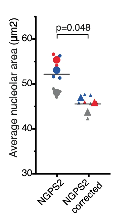 Open access visualization of Scatter Plot, Bubble Plot, Nucleolar Area, NGPS2 Cell Line, Corrected NGPS2 Cells