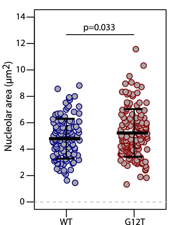 Open access visualization of Scatter Plot, Error Bars, Nucleolar Area, WT Worms, baf-1(G12T)