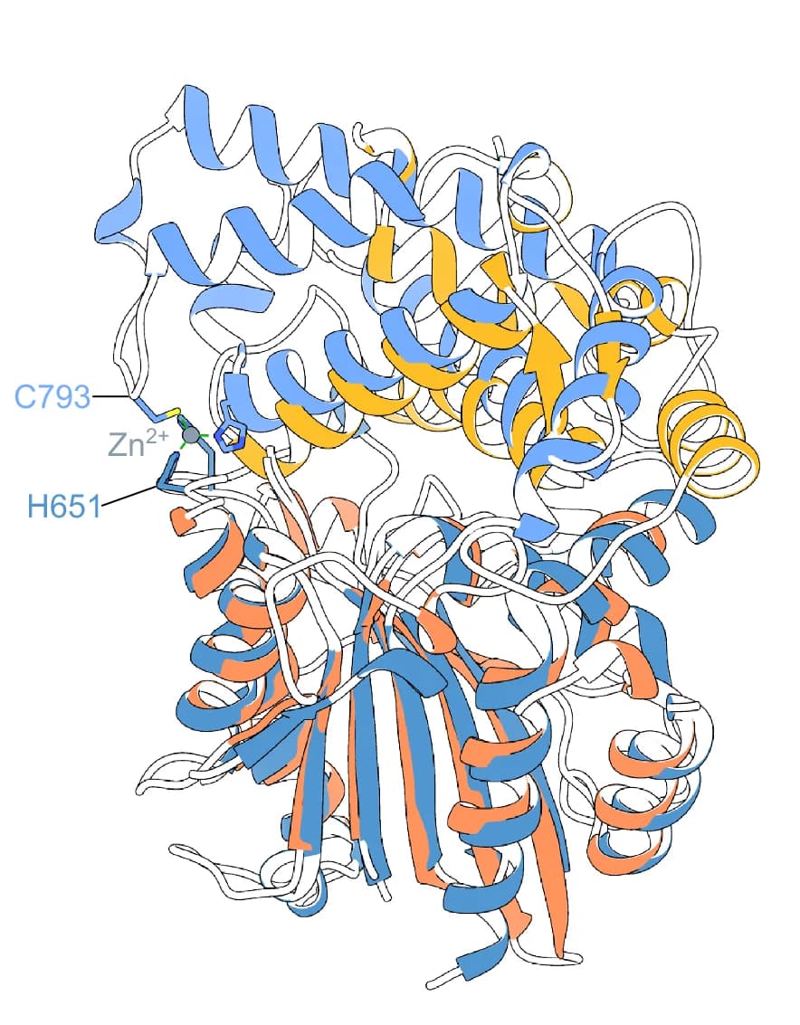 Open access visualization of Protein Structure, ScVip1 PD, EcAppA, Histidine Acid Phosphatases, Zn 2+ Binding Site