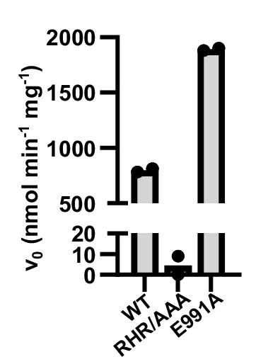 Open access visualization of Bar Plot, Error Bars, Initial Velocities, Hydrolysis, ScVip1 PD