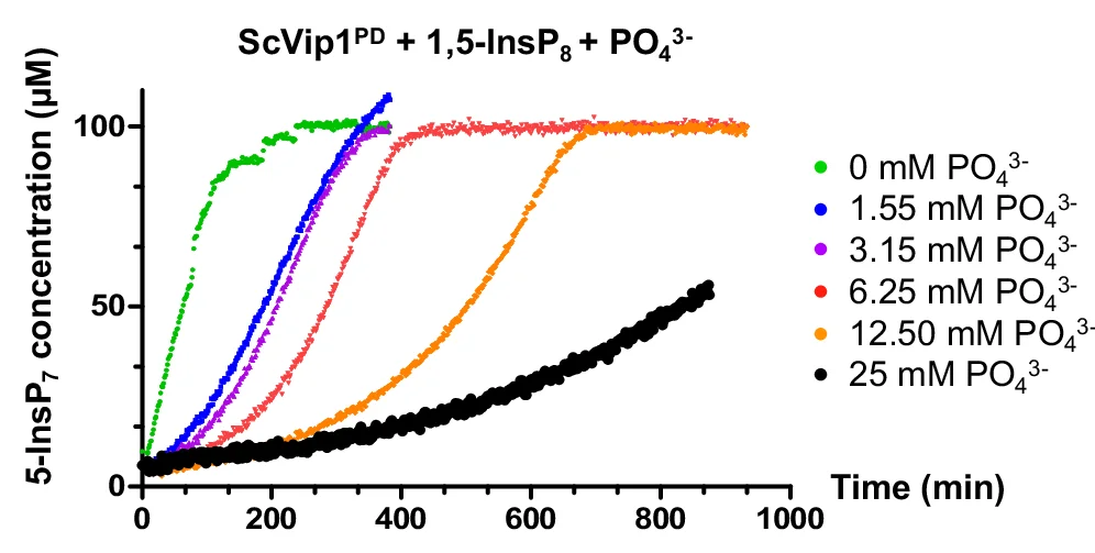 Open access visualization of Line Plot, NMR, ScVip1 PD, Hydrolysis, 1,5-InsP 8