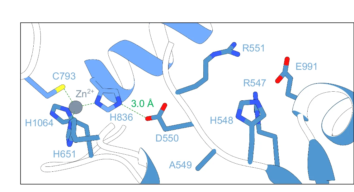 Open access visualization of Protein Structure, Chemical Structure, Thermal Melting Profiles, Wild-Type ScVip1 PD, Mutant ScVip1 PD