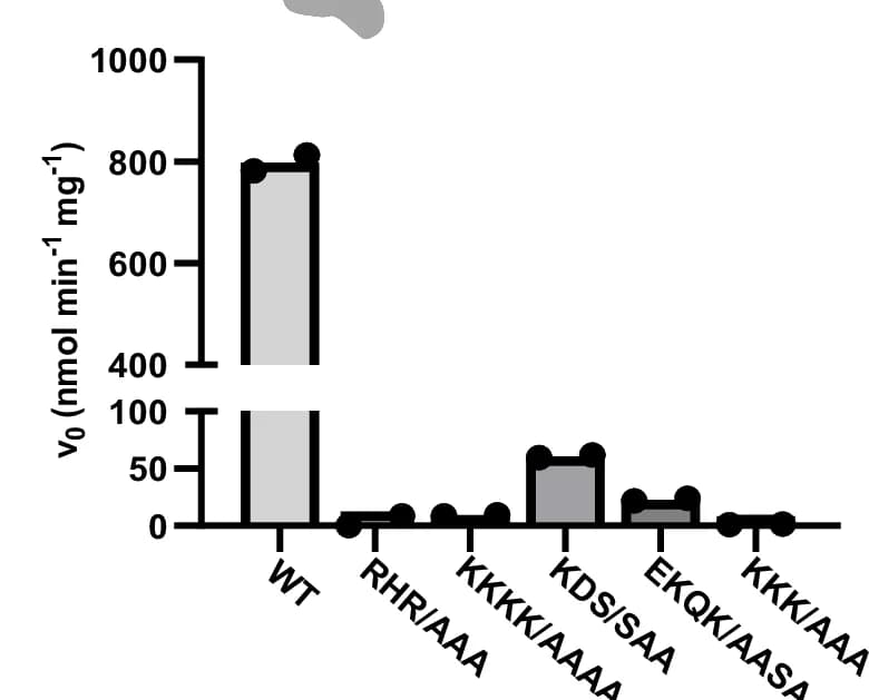 Open access visualization of Bar Plot, Initial Velocities, 1,5-InsP 8 Hydrolysis, Wild-Type ScVip1 PD, Mutant ScVip1 PD