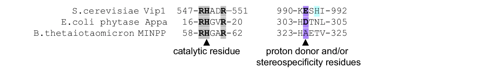 Open access visualization of Illustration, Sequence Alignment, Catalytic Motifs, Enzymes