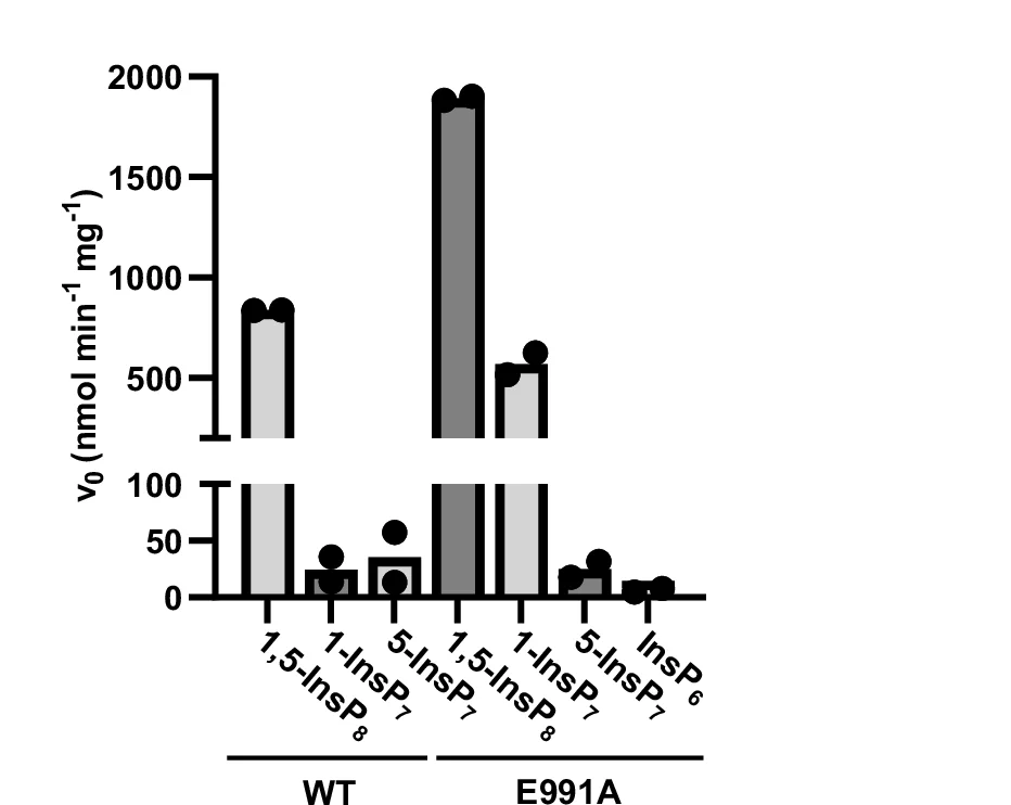 Open access visualization of Bar Plot, Error Bars, Hydrolysis, Phosphatase Assays, NMR