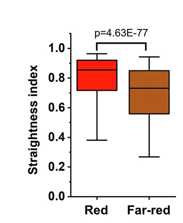 Open access visualization of Box Plot, Straightness Index, Wound Healing, Cph1-PM-MDA, Red Light