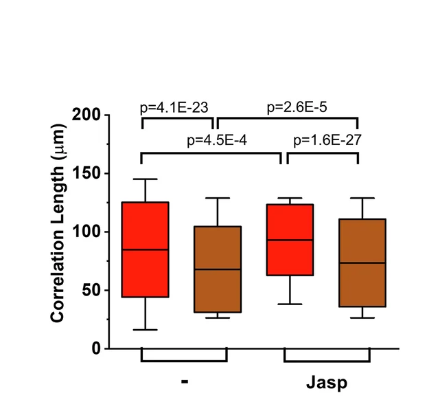 Open access visualization of Box Plot, Correlation Length, Velocity Vector, Cph1-PM-MDA, Red Light