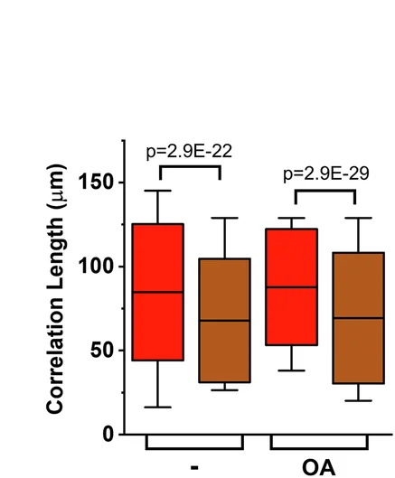 Open access visualization of Box Plot, Correlation Length, Velocity Vector, Red Light, Far-Red Light