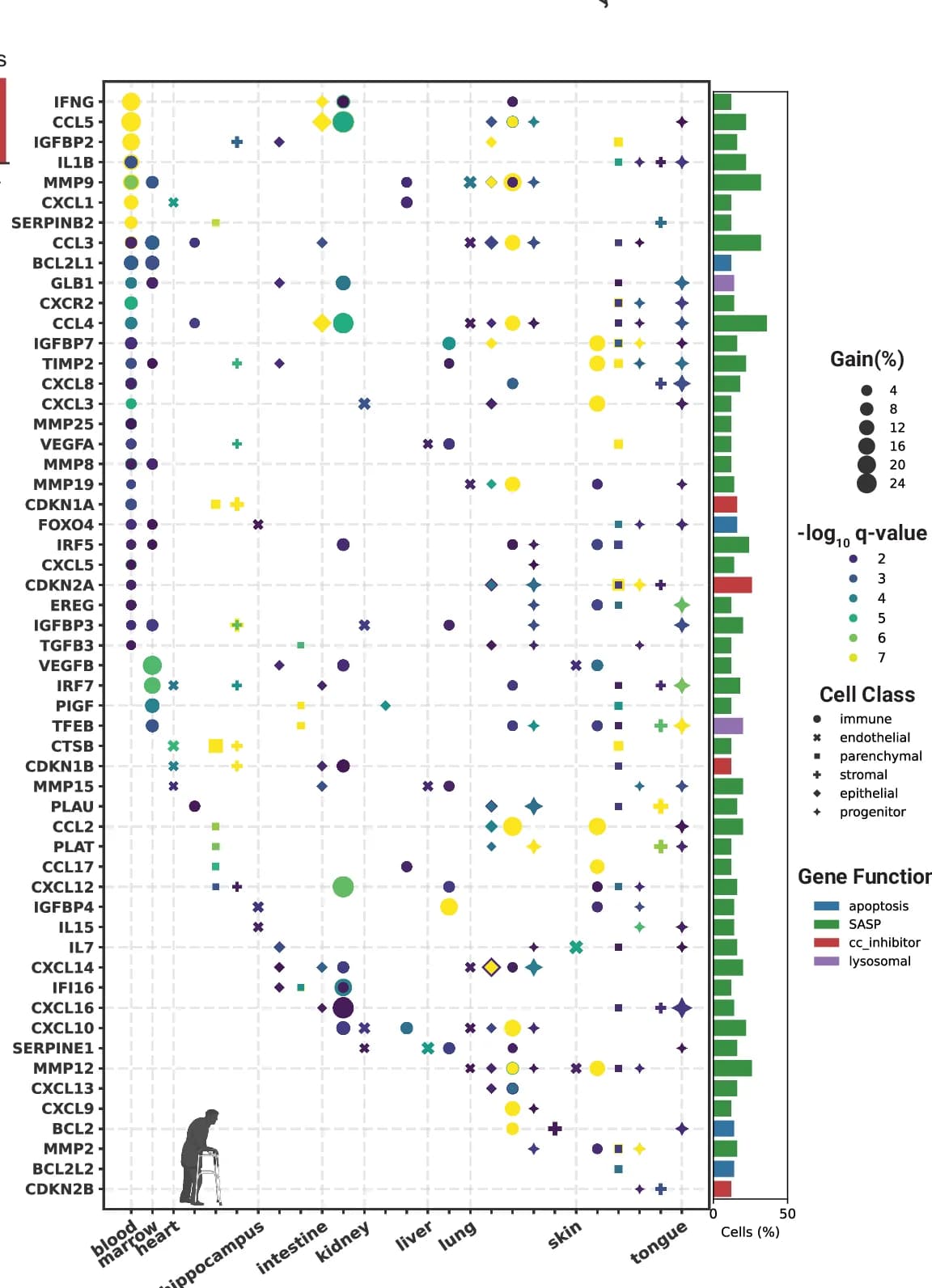 Open access visualization of Scatter Plot, Bar Plot, Cell-Specific Maps, Marker Dynamics, Mouse Data