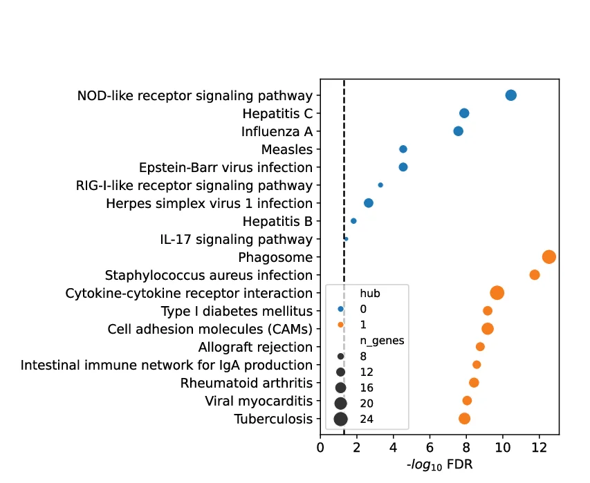 Open access visualization of Bubble Plot, KEGG, Gene Set Enrichment, Keratinocytes, Hub Signatures