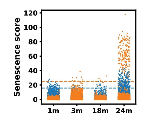 Open access visualization of Scatter Plot, Keratinocyte, SenePy, Hubs, Strip Plot