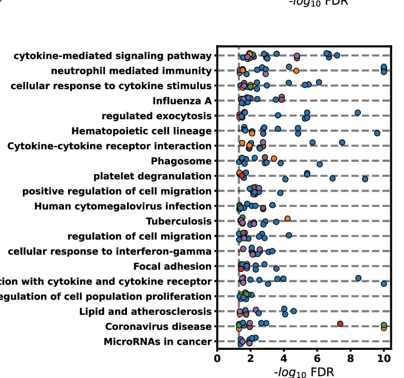 Open access visualization of Scatter Plot, KEGG, GO Gene Sets, Human SenePy Signature, Pathway Enrichment