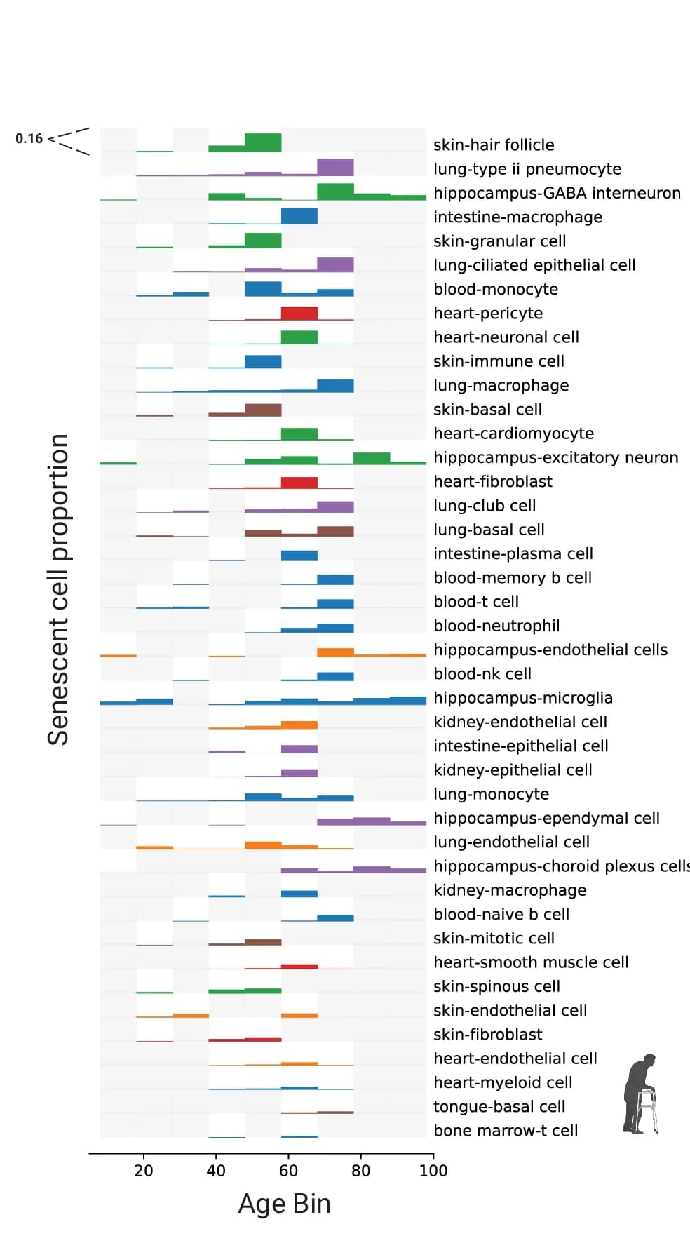 Open access visualization of Bar Plot, SenePy Human Outlier Cells, Age Bins, Cell Proportions