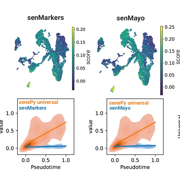 Open access visualization of UMAP, Scatter Plot, Regression Plot, Density Plot, Cells