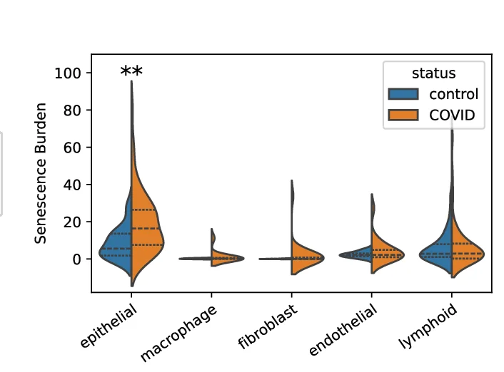 Open access visualization of Violin Plot, SenePy Score, Lung Cell Classes