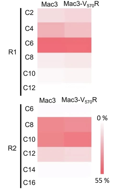 Open access visualization of Heatmap, Heat Maps, LC-MS, MELs
