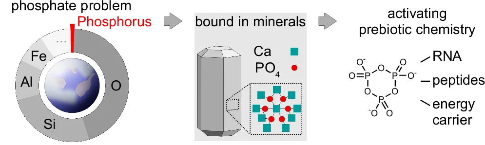 Open access visualization of Workflow, Illustration, Pie Chart, Chemical Structure, Phosphorus