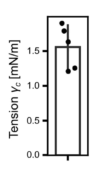 Open access visualization of Bar Plot, Error Bars, Scatter Plot, Critical Tension, Micropipette Aspiration