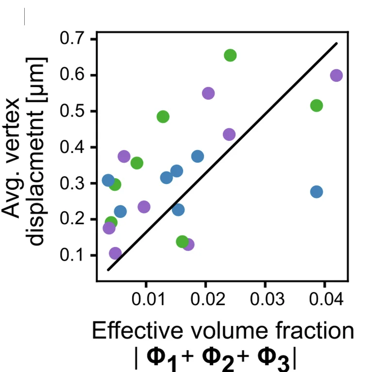 Open access visualization of Scatter Plot, Regression Plot, Vertex Displacement, Volume Fraction, Linear Fit