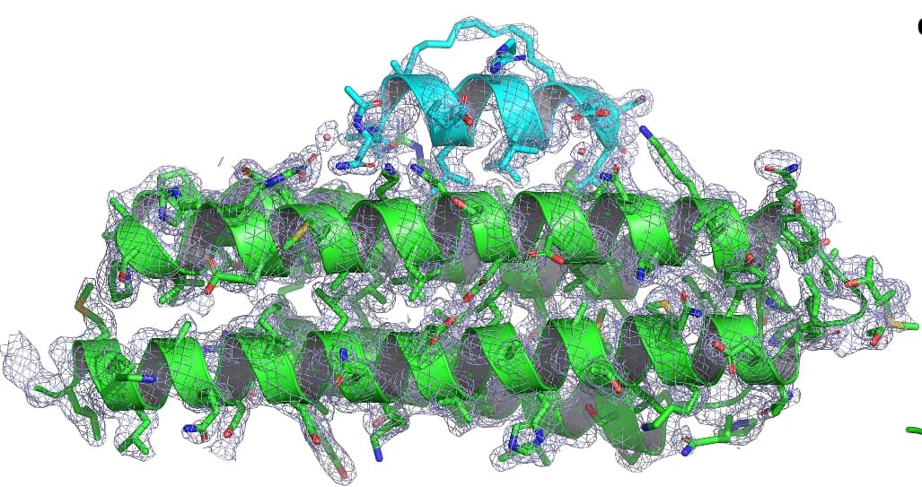 Open access visualization of Protein Structure, Electron Density Map, X-ray crystallography