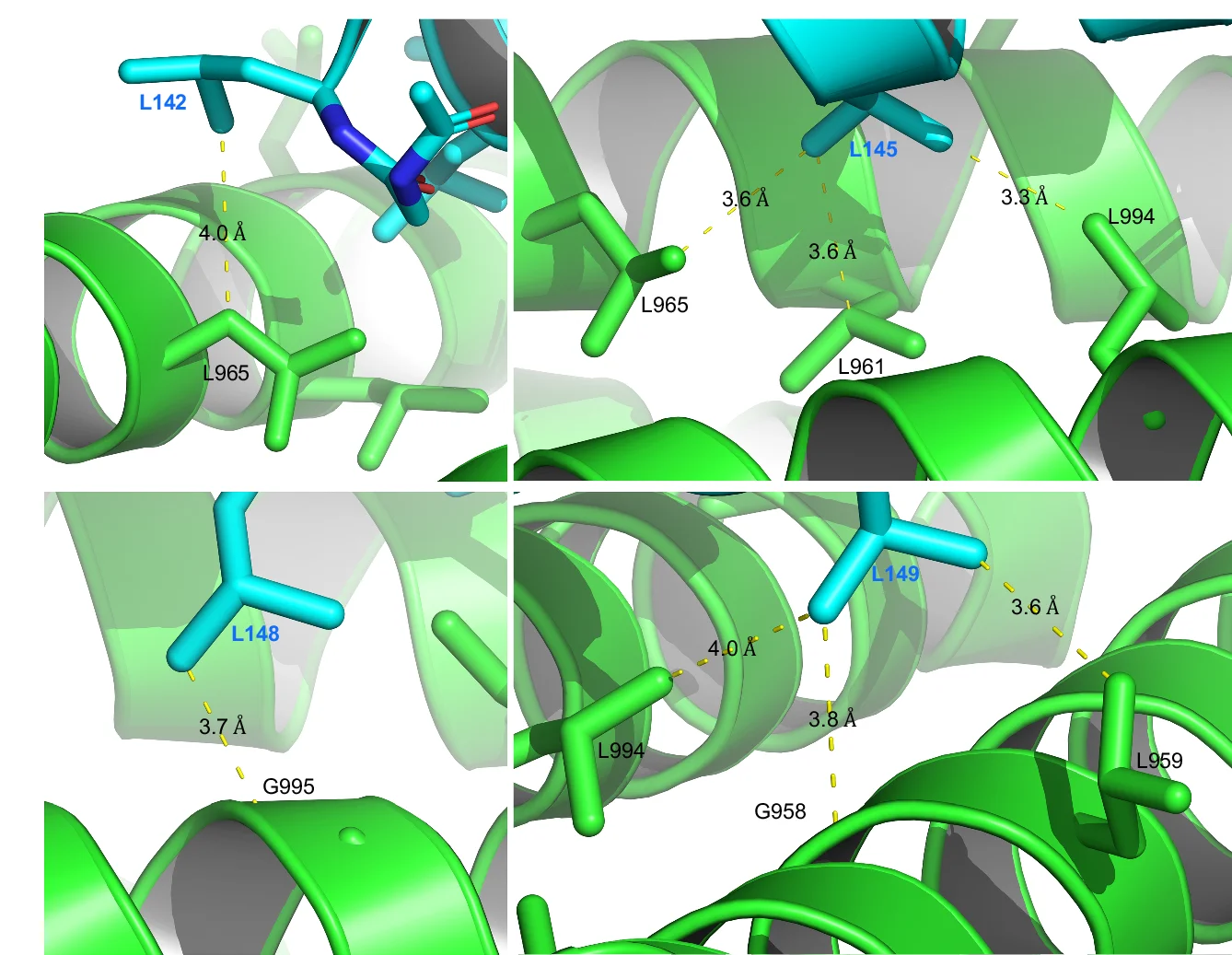 Open access visualization of Protein Structure, Hydrophobic Interactions, FAK FAT Domain, Peptide, Molecular Interactions
