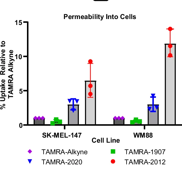 Open access visualization of Bar Plot, Error Bars, Scatter Plot, Fluorescence, Permeability Assays