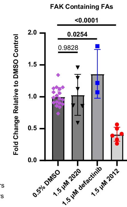 Open access visualization of Bar Plot, Error Bars, Scatter Plot, FAK, Focal Adhesions
