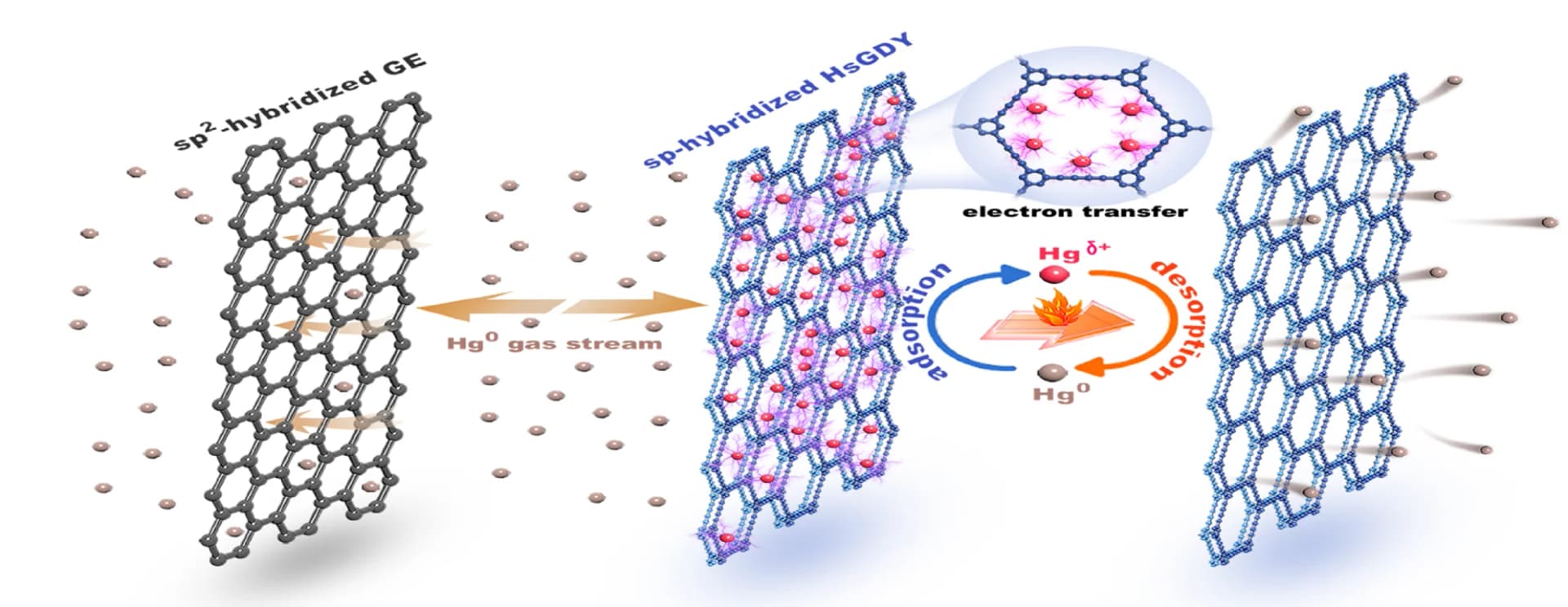 Open access visualization of Illustration, Chemical Structure, Schematic Diagram, Hg Adsorption-Desorption, sp-hybridized HsGDY