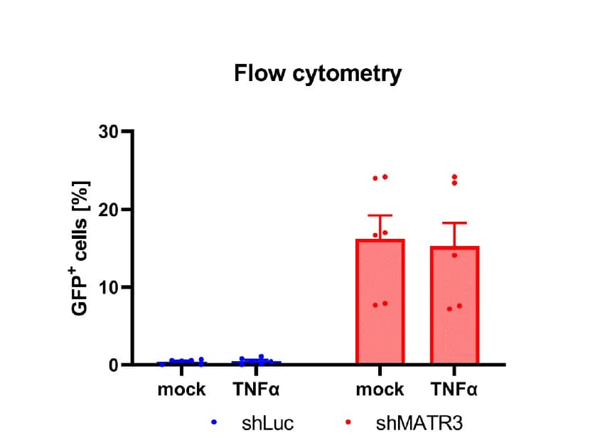 Open access visualization of Bar Plot, Error Bars, Scatter Plot, MATR3 Depletion, J-Lat 9.2 Cells