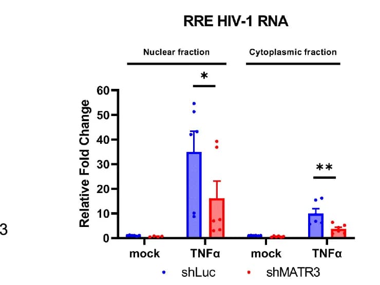 Open access visualization of Bar Plot, Error Bars, Clustered, Scatter Plot, RNA Isolation