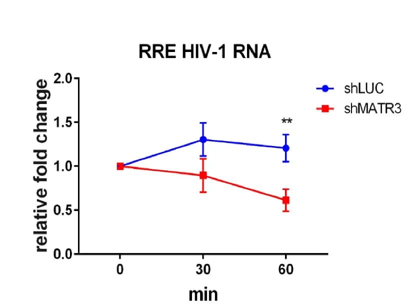 Open access visualization of Line Plot, Error Bars, RNA Isolation, RT-qPCR, RRE HIV-1 RNA