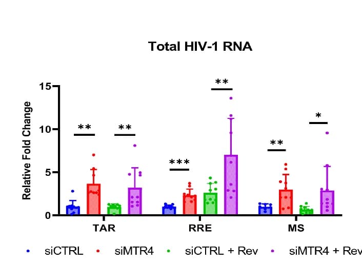 Open access visualization of Bar Plot, Error Bars, Scatter Plot, MTR4 Depletion, 293 T Cells