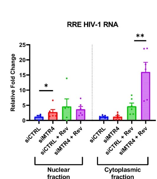 Open access visualization of Bar Plot, Error Bars, MTR4 Depletion, 293 T Cells, siRNA Transfection