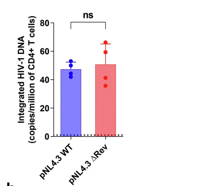 Open access visualization of Bar Plot, Error Bars, Scatter Plot, Jurkat T Cells, HIV Particles