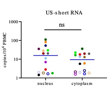 Open access visualization of Scatter Plot, PBMCs, Nucleocytoplasmic Fractionation, Nucleic Acid Isolation, RT-qPCR