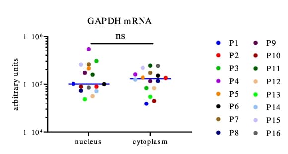 Open access visualization of Scatter Plot, PBMCs, Nucleocytoplasmic Fractionation, Nucleic Acid Isolation, RT-qPCR